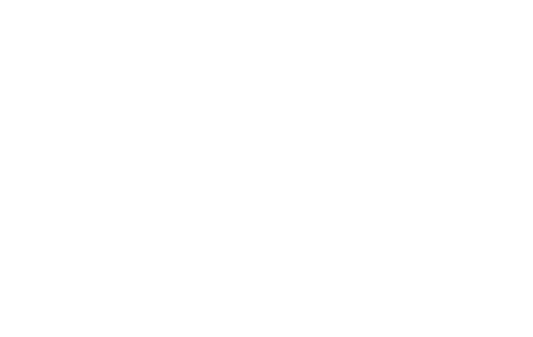 IBP Logo